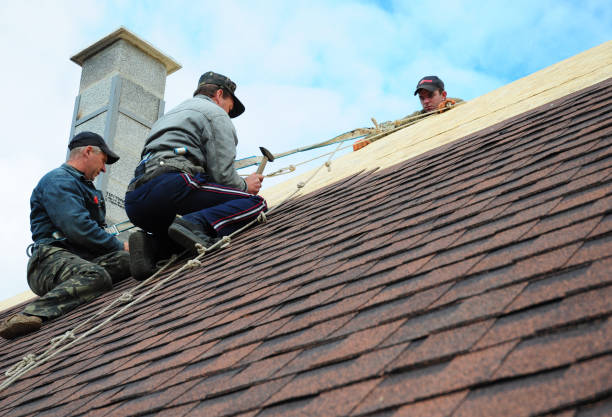 Best Storm Damage Roof Repair  in Minneota, MN